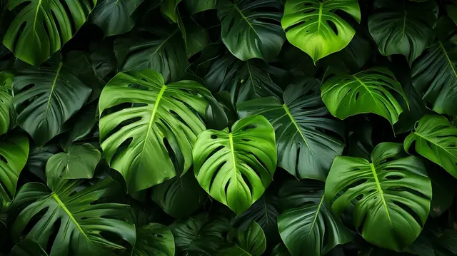 Triệu Chứng Thoát Vị Đĩa Đệm – Dấu Hiệu Sớm Không Nên Bỏ Qua